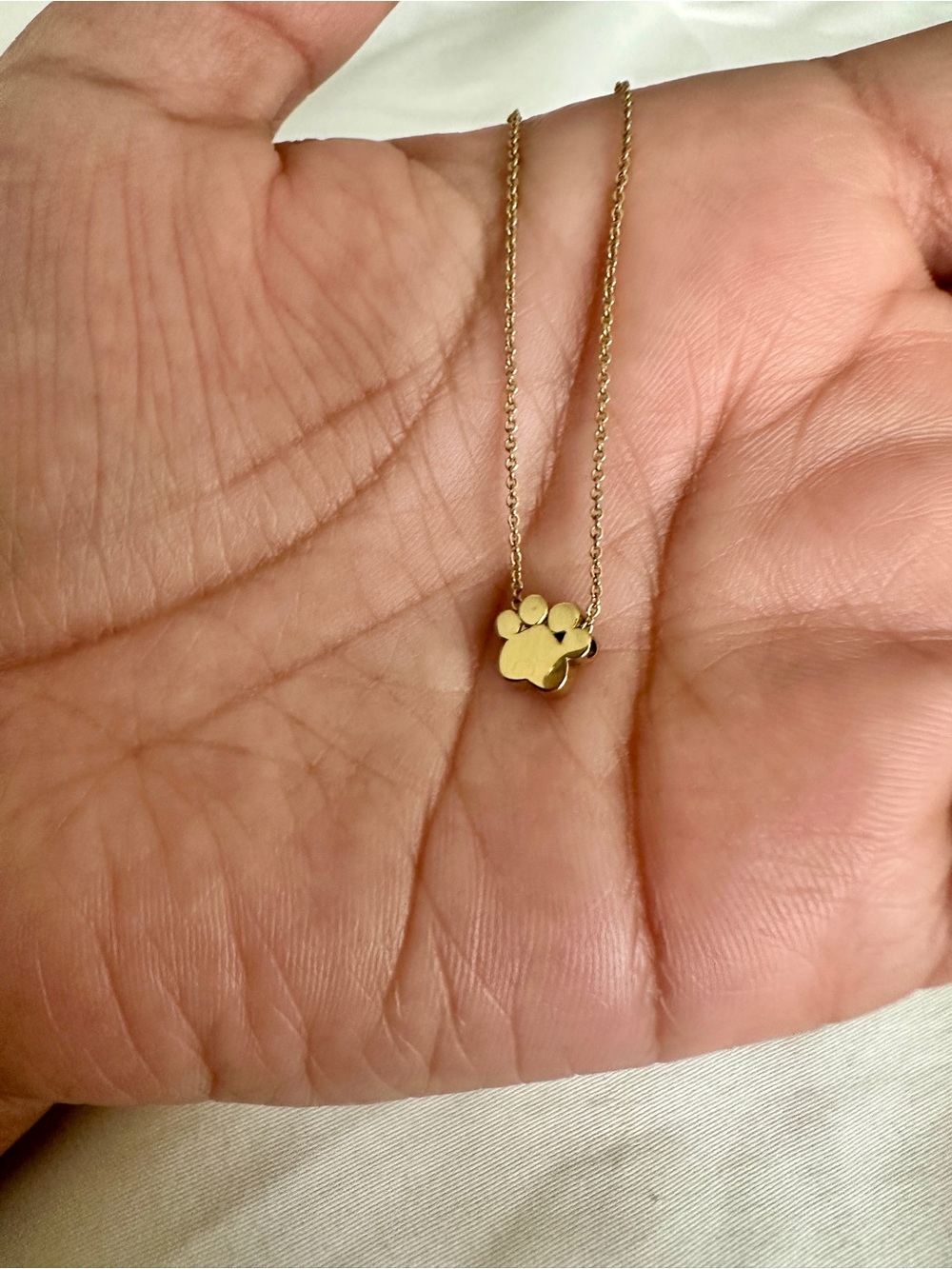 Tiny Tags 14K Gold Ion Plated Dog Paw Necklace